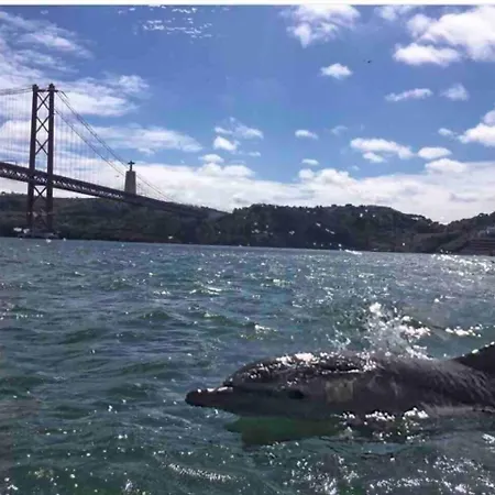 Lisboalfama 3. Amazing River View! Διαμέρισμα Lisboa